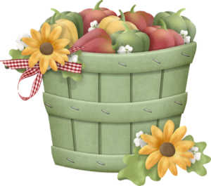 a barrel of autumn apples